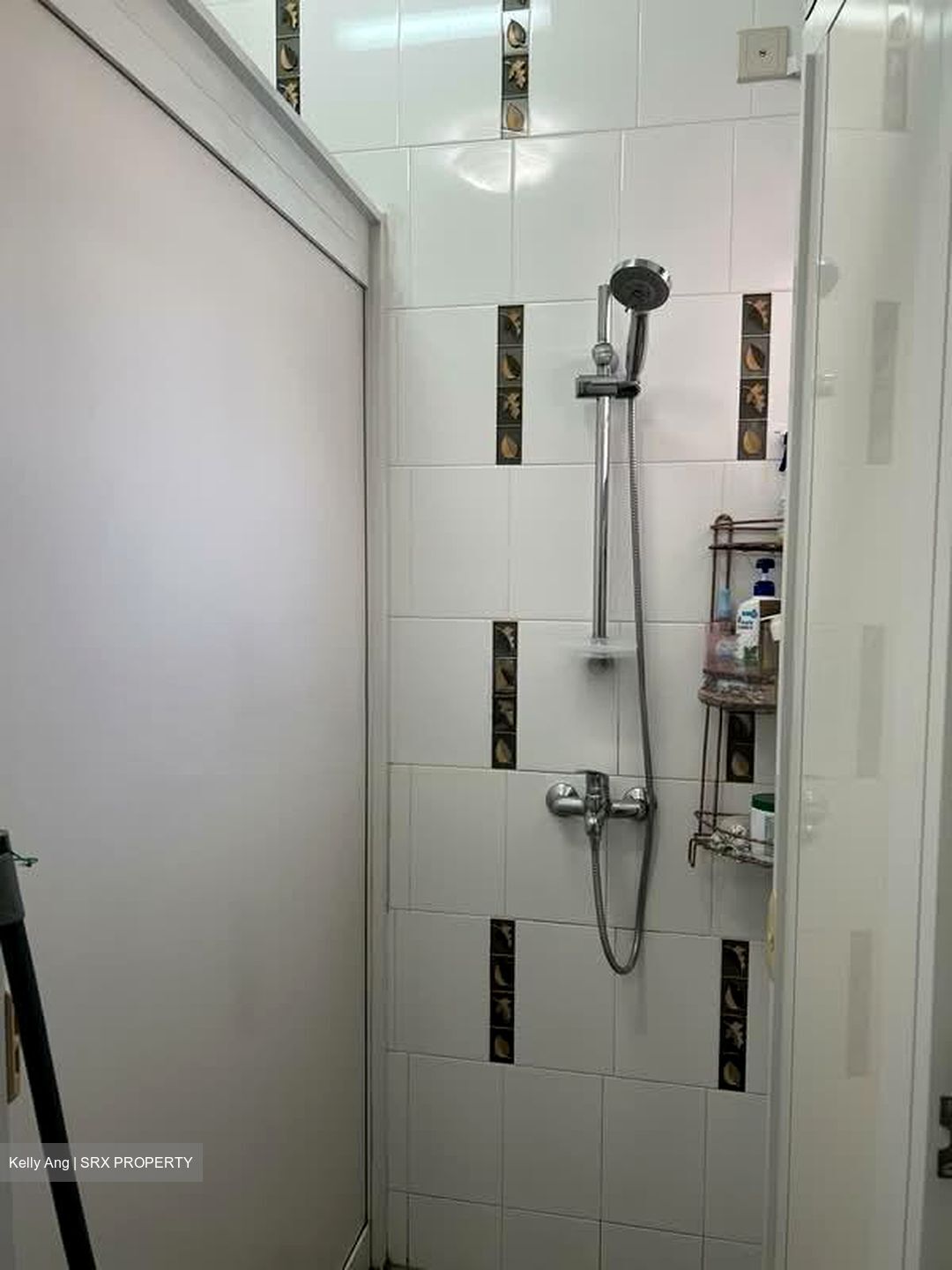 Blk 421 Casa Clementi (Clementi), HDB 4 Rooms #547871071